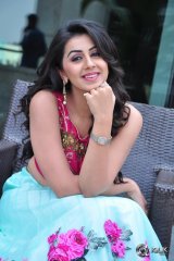 Nikki Galrani at Krishnashtami Movie Platinum Disc Function